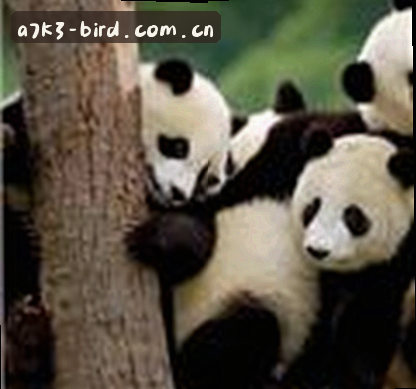 刘洋